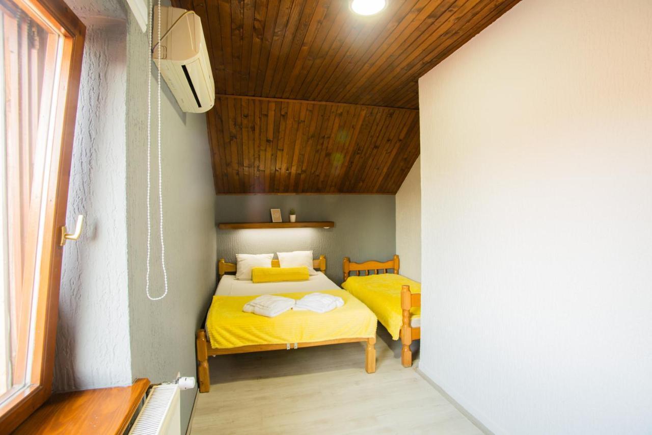 Guest House Vila Alexandar 팔릭 외부 사진