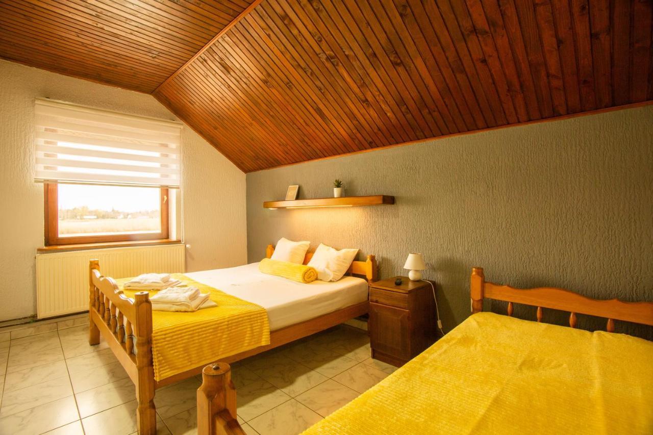 Guest House Vila Alexandar 팔릭 외부 사진