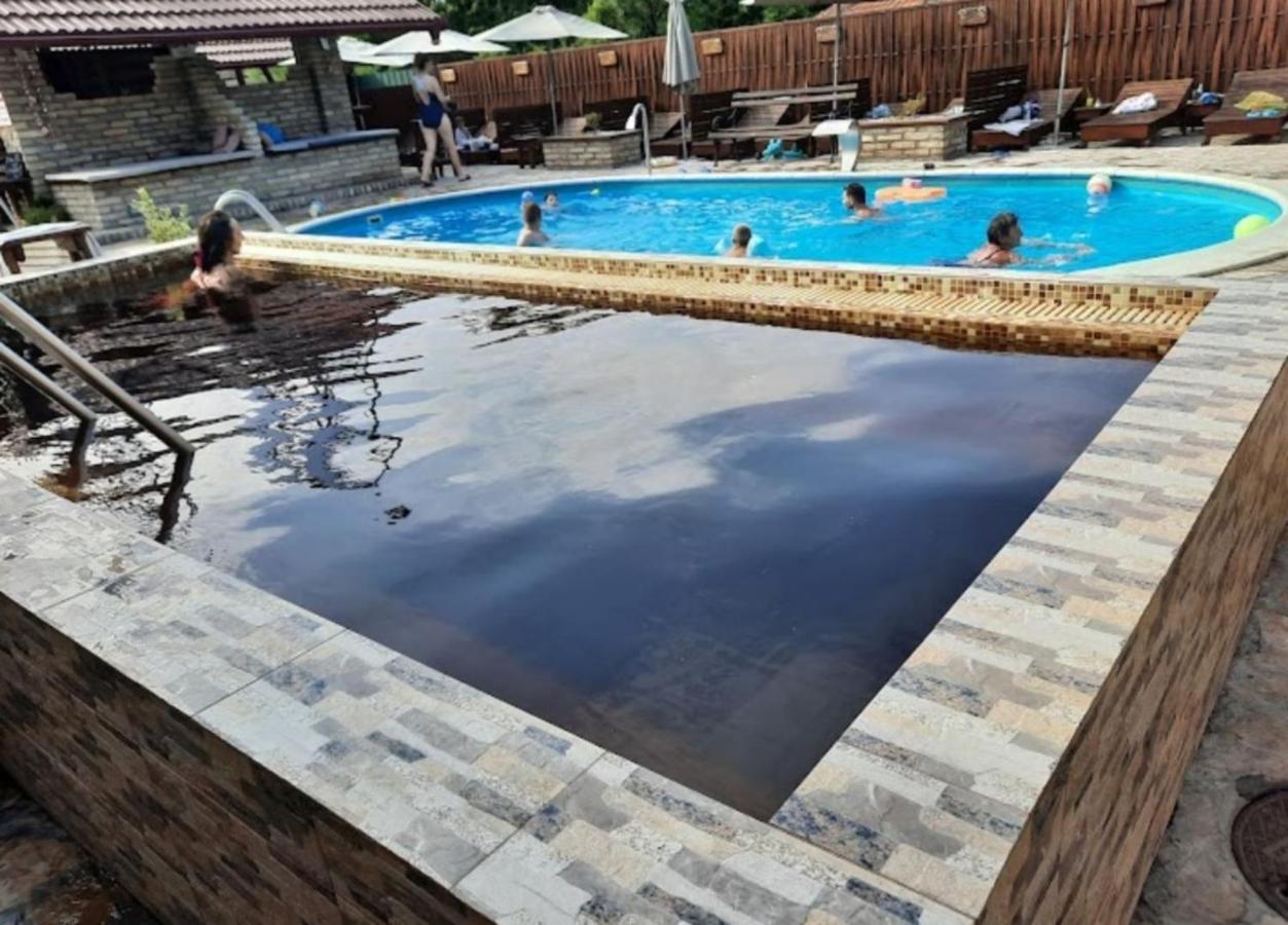 Guest House Vila Alexandar 팔릭 외부 사진