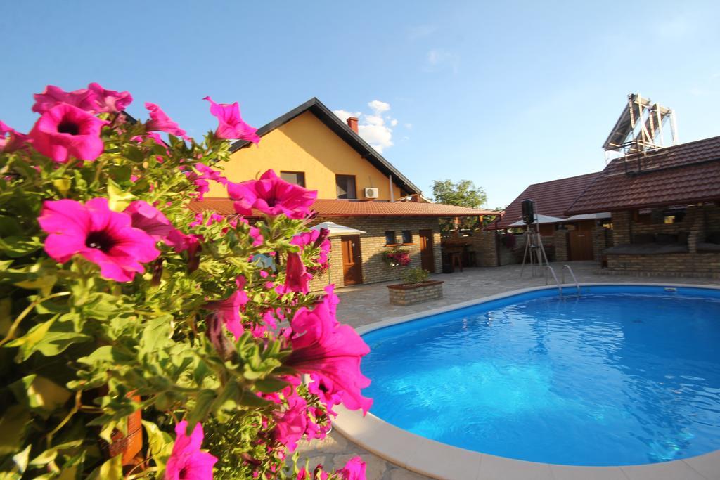 Guest House Vila Alexandar 팔릭 외부 사진