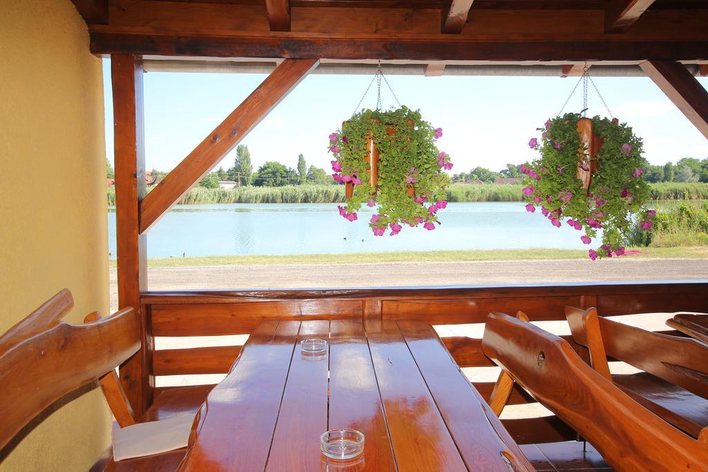 Guest House Vila Alexandar 팔릭 외부 사진